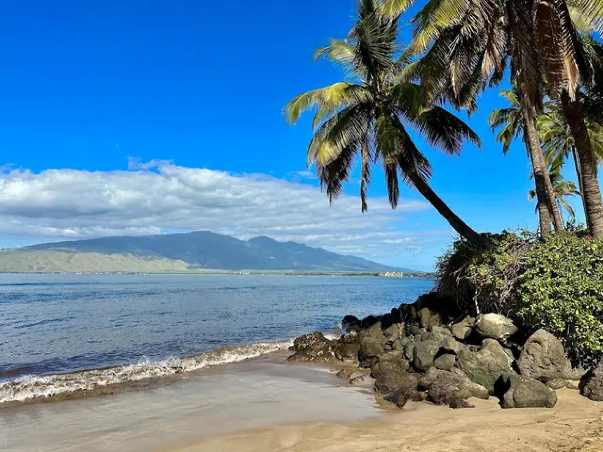 Cozy Maui Studio Retreat Just Steps To The Sand! Kihei Eksteriør bilde